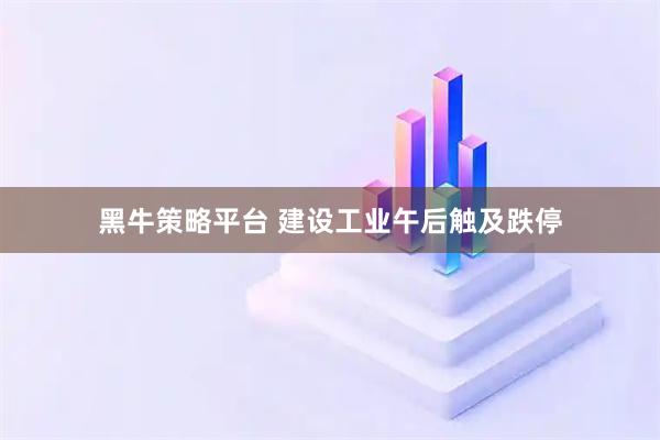 黑牛策略平台 建设工业午后触及跌停